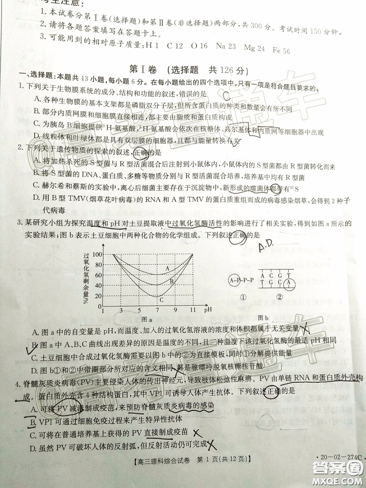 2020年陜西金太陽4月聯(lián)考理科綜合試題及答案