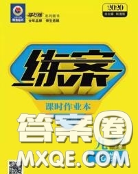 2020新版練案課時(shí)作業(yè)本九年級(jí)化學(xué)下冊(cè)人教版答案