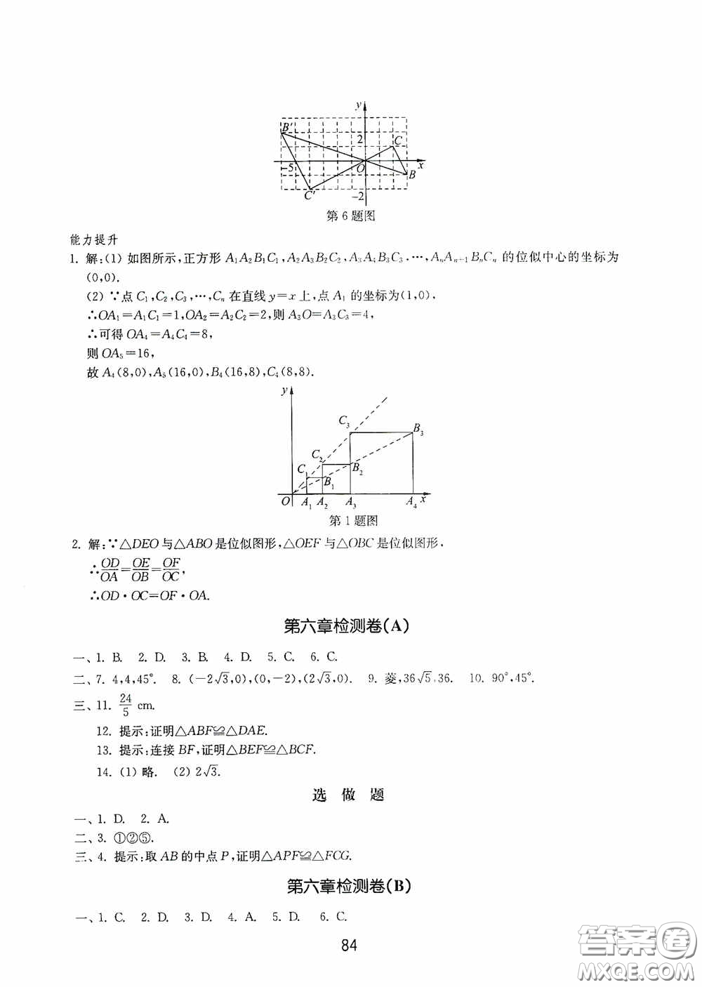 山東教育出版社2020初中基礎訓練八年級數(shù)學下冊54學制答案