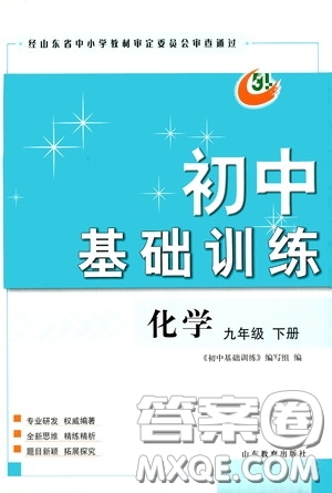 山東教育出版社2020初中基礎(chǔ)訓(xùn)練九年級化學(xué)下冊54學(xué)制答案