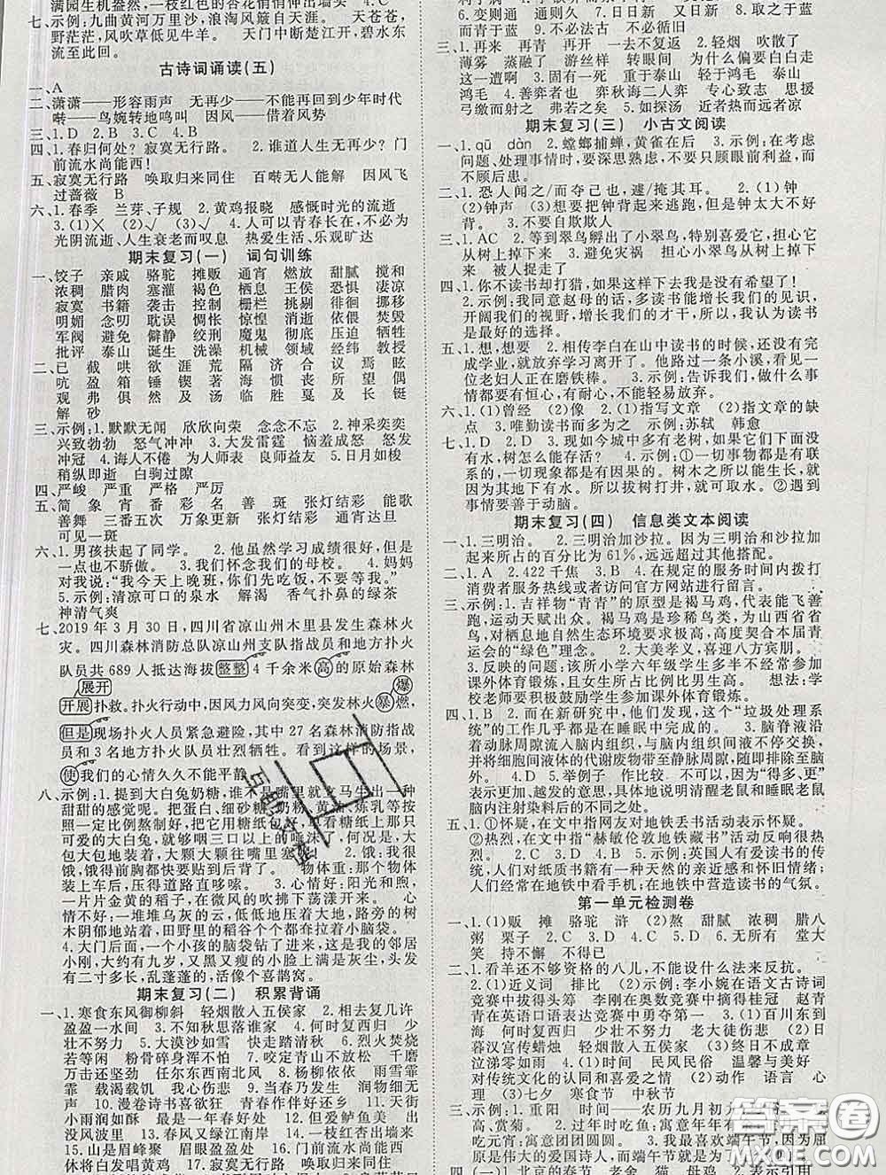 延邊大學(xué)出版社2020新版新領(lǐng)程叢書新領(lǐng)程六年級(jí)語(yǔ)文下冊(cè)人教版參考答案