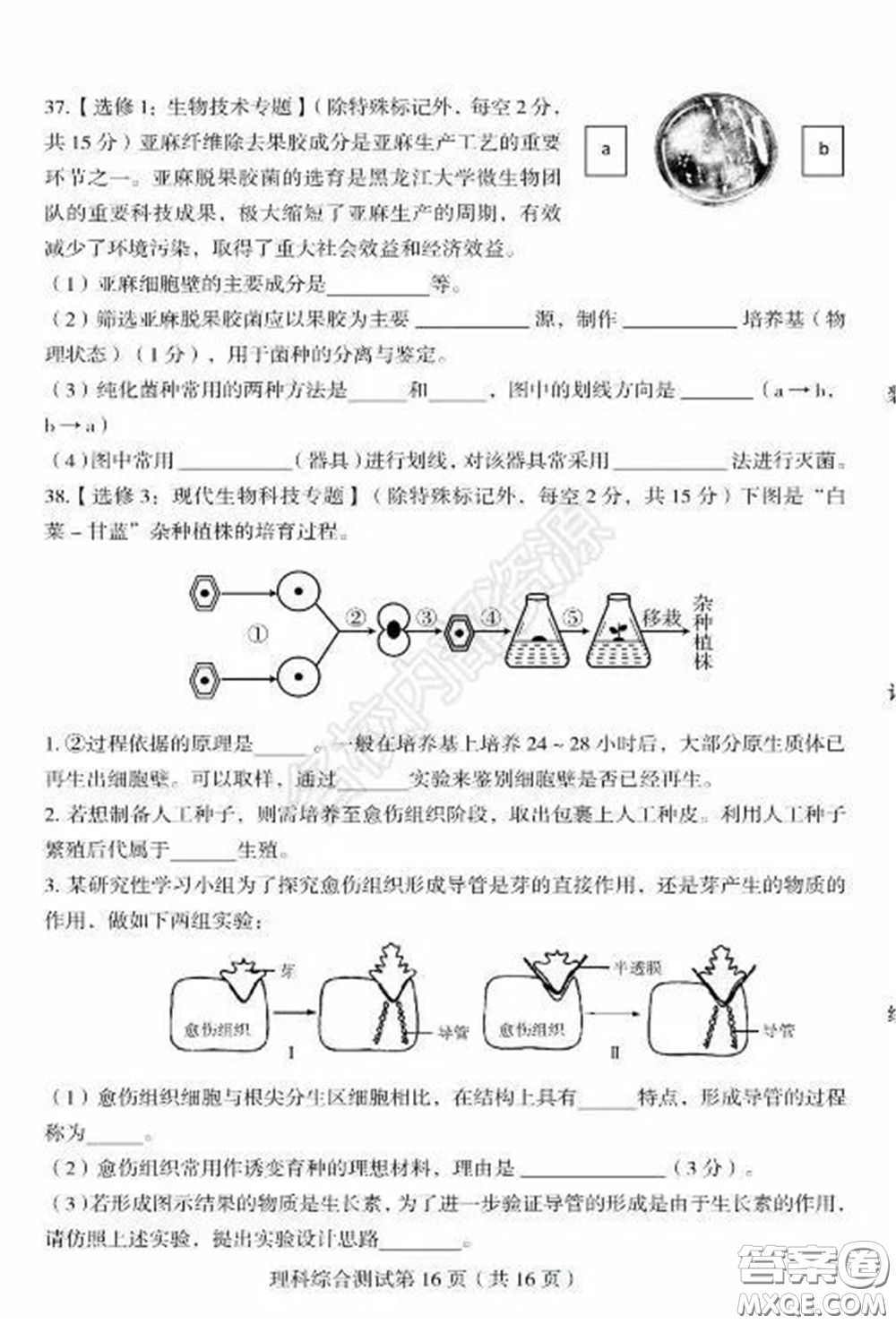 2020年?yáng)|北三省四市一模理科綜合試卷及答案