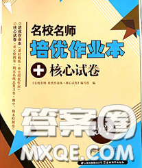 2020新版名校名師培優(yōu)作業(yè)本加核心試卷六年級數(shù)學(xué)下冊人教版答案