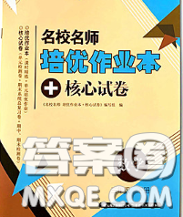 2020新版名校名師培優(yōu)作業(yè)本加核心試卷三年級數(shù)學(xué)下冊人教版答案