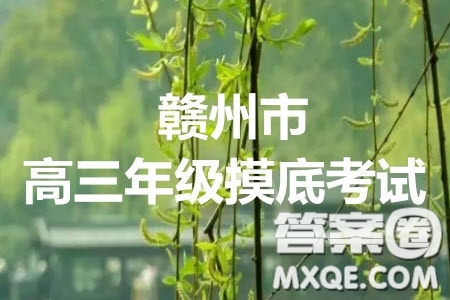 贛州市2020年高三年級(jí)摸底考試?yán)砜茢?shù)學(xué)試題及答案