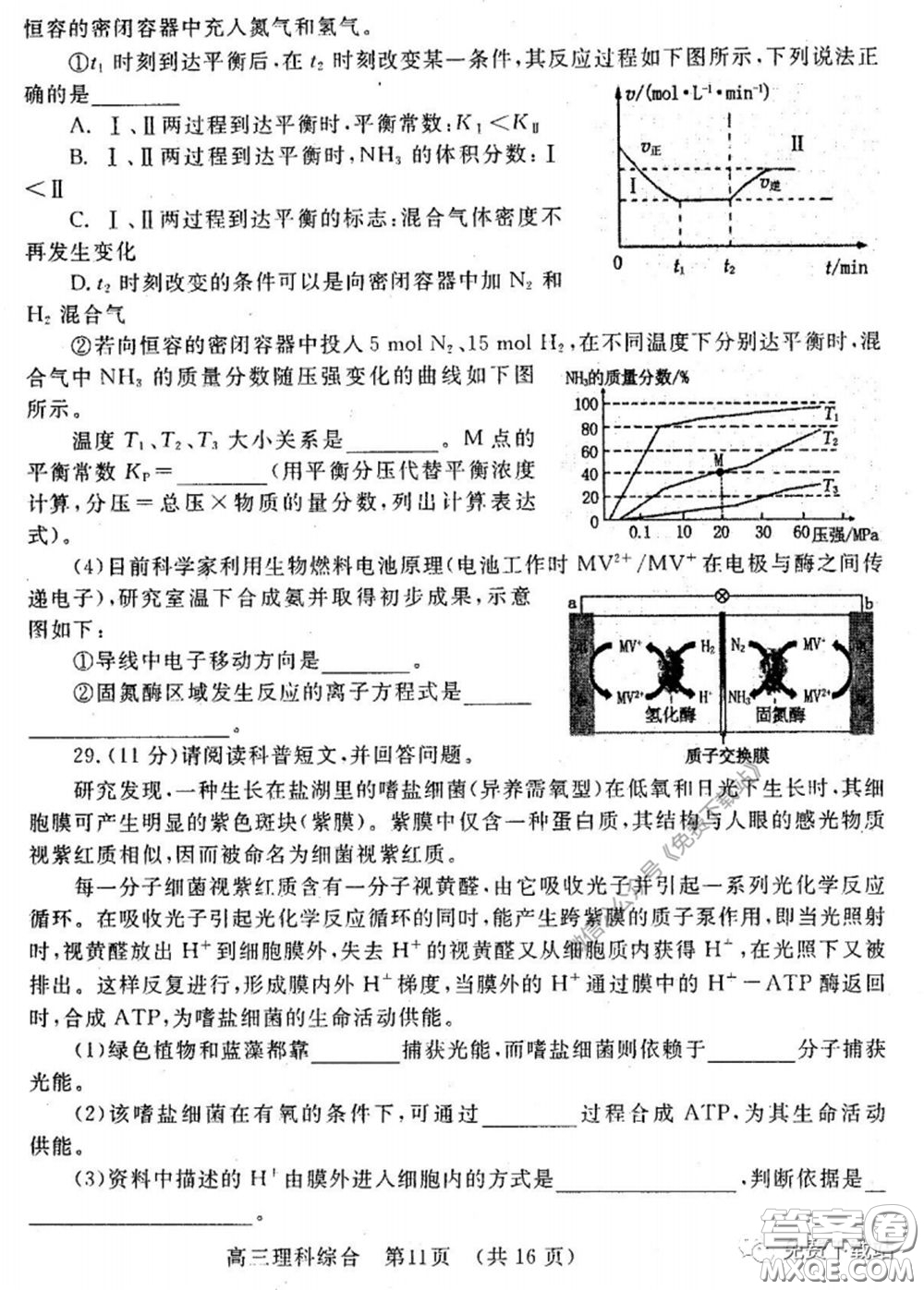 洛陽市2019-2020學年高中三年級第二次統(tǒng)一考試理科綜合試題及答案