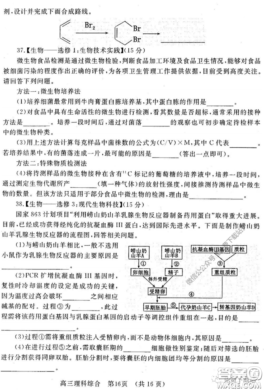 洛陽市2019-2020學年高中三年級第二次統(tǒng)一考試理科綜合試題及答案