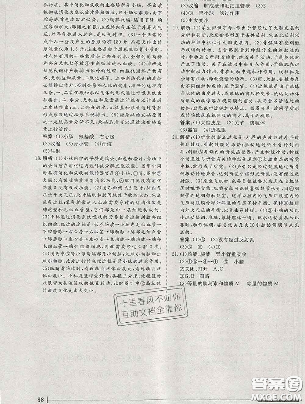 2020新版標(biāo)準(zhǔn)課堂作業(yè)七年級(jí)生物下冊(cè)人教版參考答案