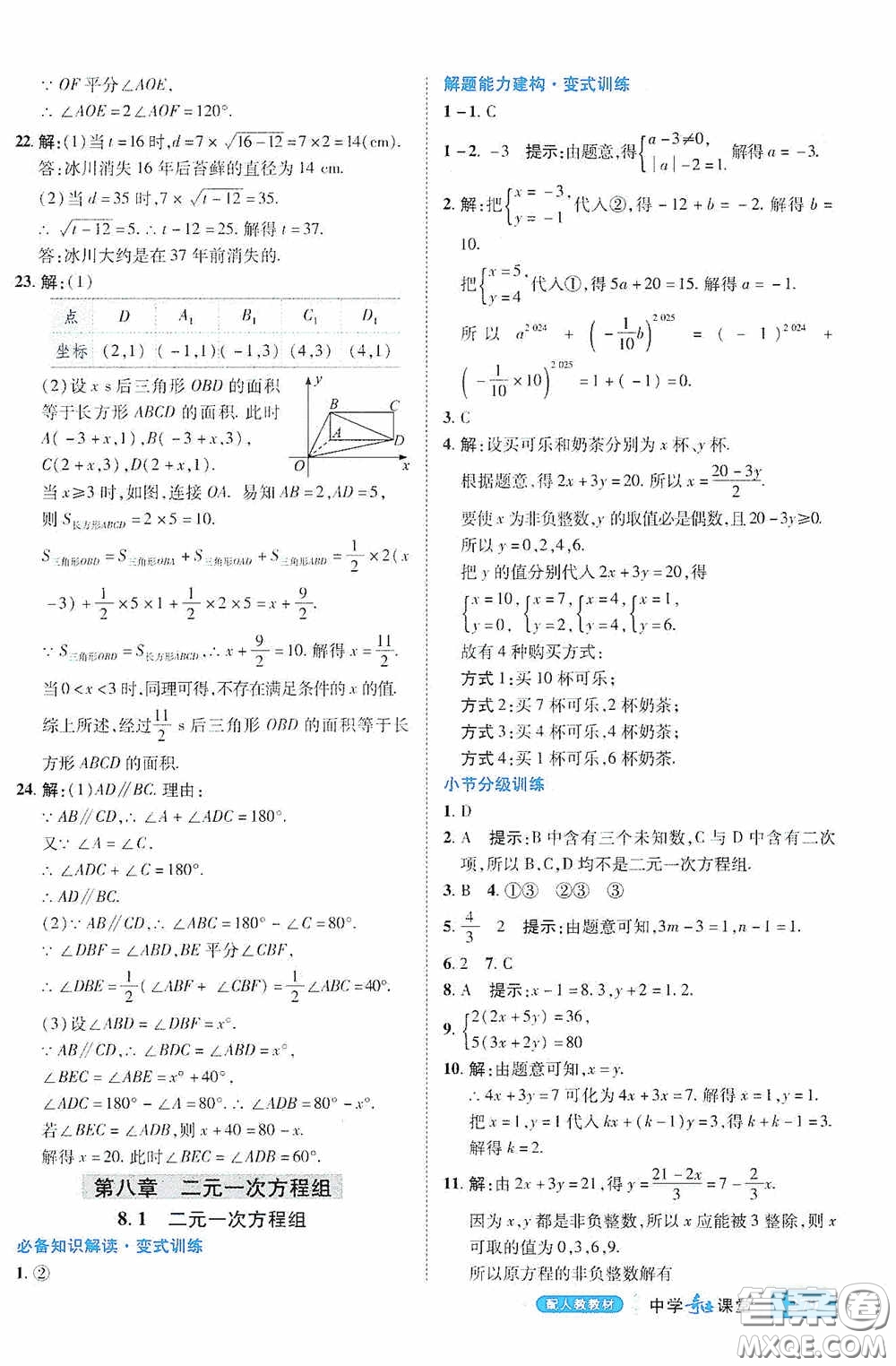 世紀英才中學奇跡課堂2020期末專題總復習七年級數學下冊人教版教材答案