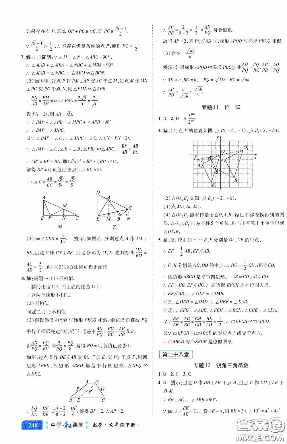 世紀(jì)英才中學(xué)奇跡課堂2020中考專題總復(fù)習(xí)九年級數(shù)學(xué)下冊人教版教材答案