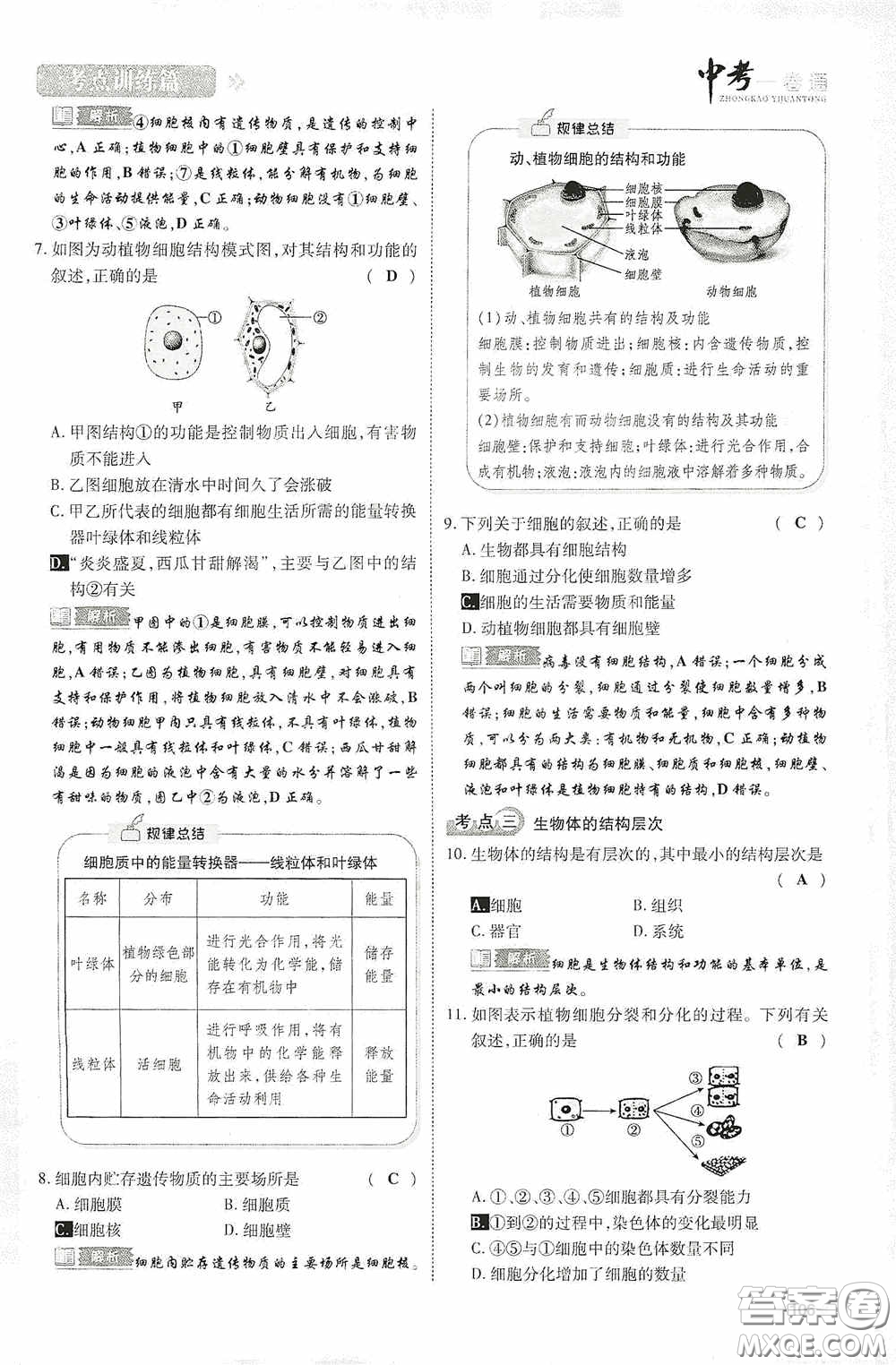 2020中考一卷通考點(diǎn)訓(xùn)練篇生物6篇訓(xùn)練答案