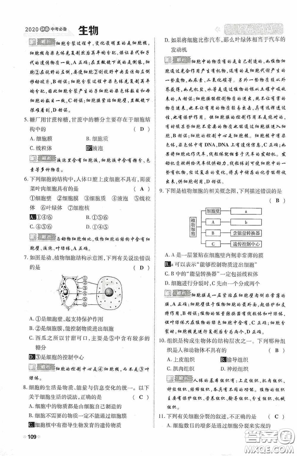 2020中考一卷通考點(diǎn)訓(xùn)練篇生物6篇訓(xùn)練答案