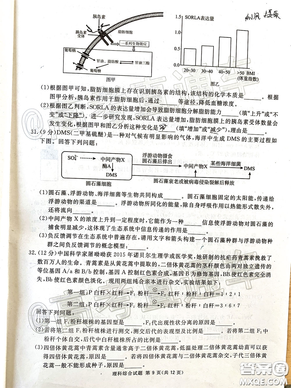 2020年四川九市聯(lián)考內(nèi)江廣安等高三第二次模擬考試?yán)砜凭C合試題及答案