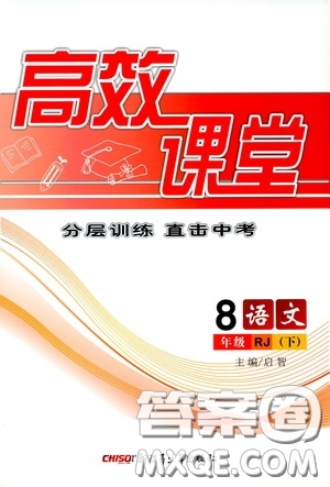 新疆青少年出版社2020高效課堂八年級(jí)語(yǔ)文下冊(cè)人教版答案