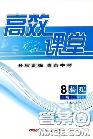 新疆青少年出版社2020高效課堂八年級物理下冊人教版答案