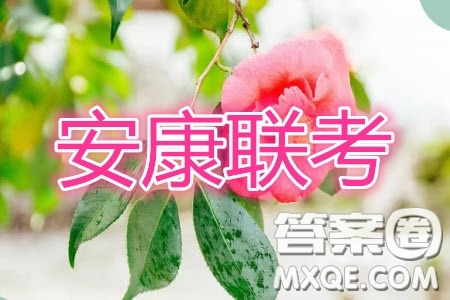 安康市2020屆高三第三次教學質(zhì)量聯(lián)考理科數(shù)學試題及答案