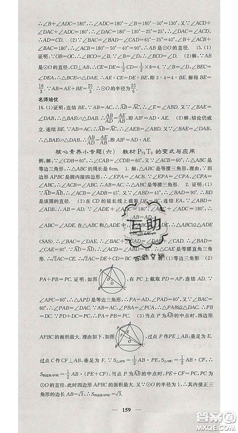 四川大學(xué)出版社2020春名校課堂內(nèi)外九年級數(shù)學(xué)下冊華師版答案