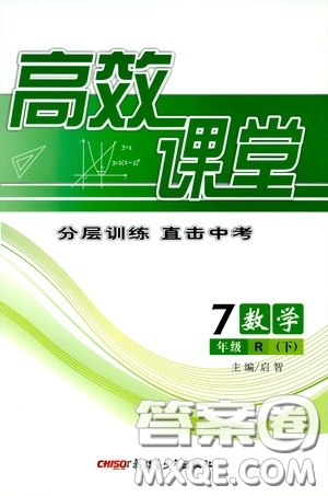 新疆青少年出版社2020高效課堂七年級數(shù)學下冊人教版答案