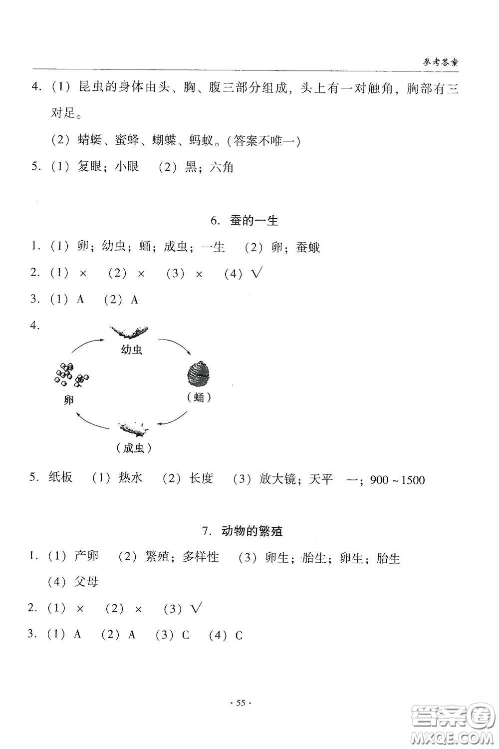 教育科學(xué)出版社2020優(yōu)質(zhì)課堂導(dǎo)學(xué)練三年級(jí)科學(xué)下冊(cè)教科版答案