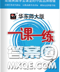 2020新版華東師大版一課一練七年級數(shù)學第二學期答案