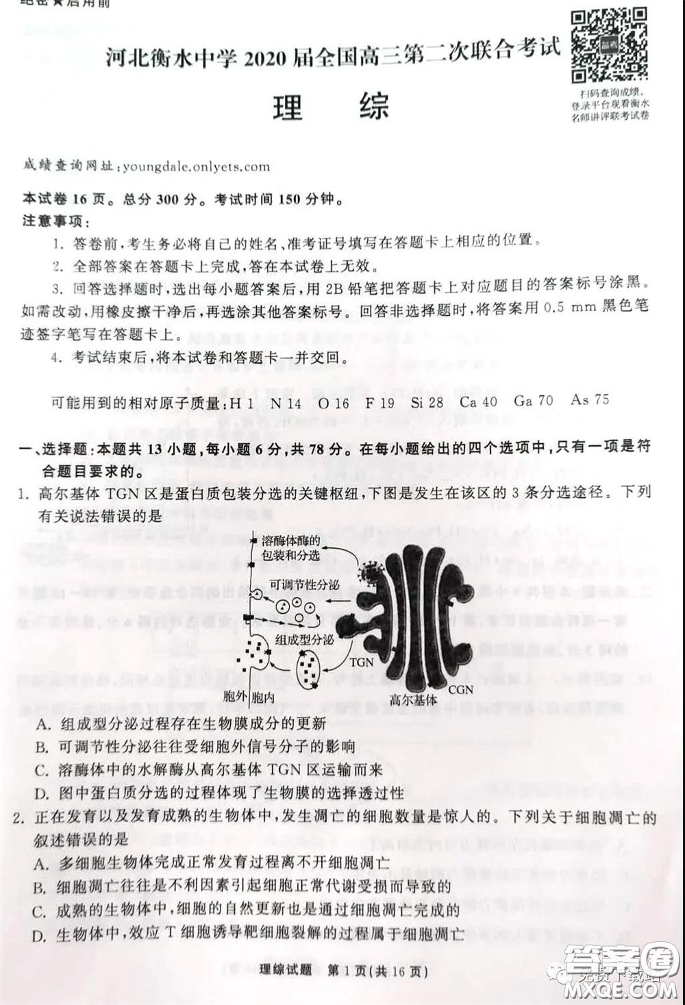 河北衡水中學(xué)2020屆全國高三第二次聯(lián)合考試?yán)砭C答案