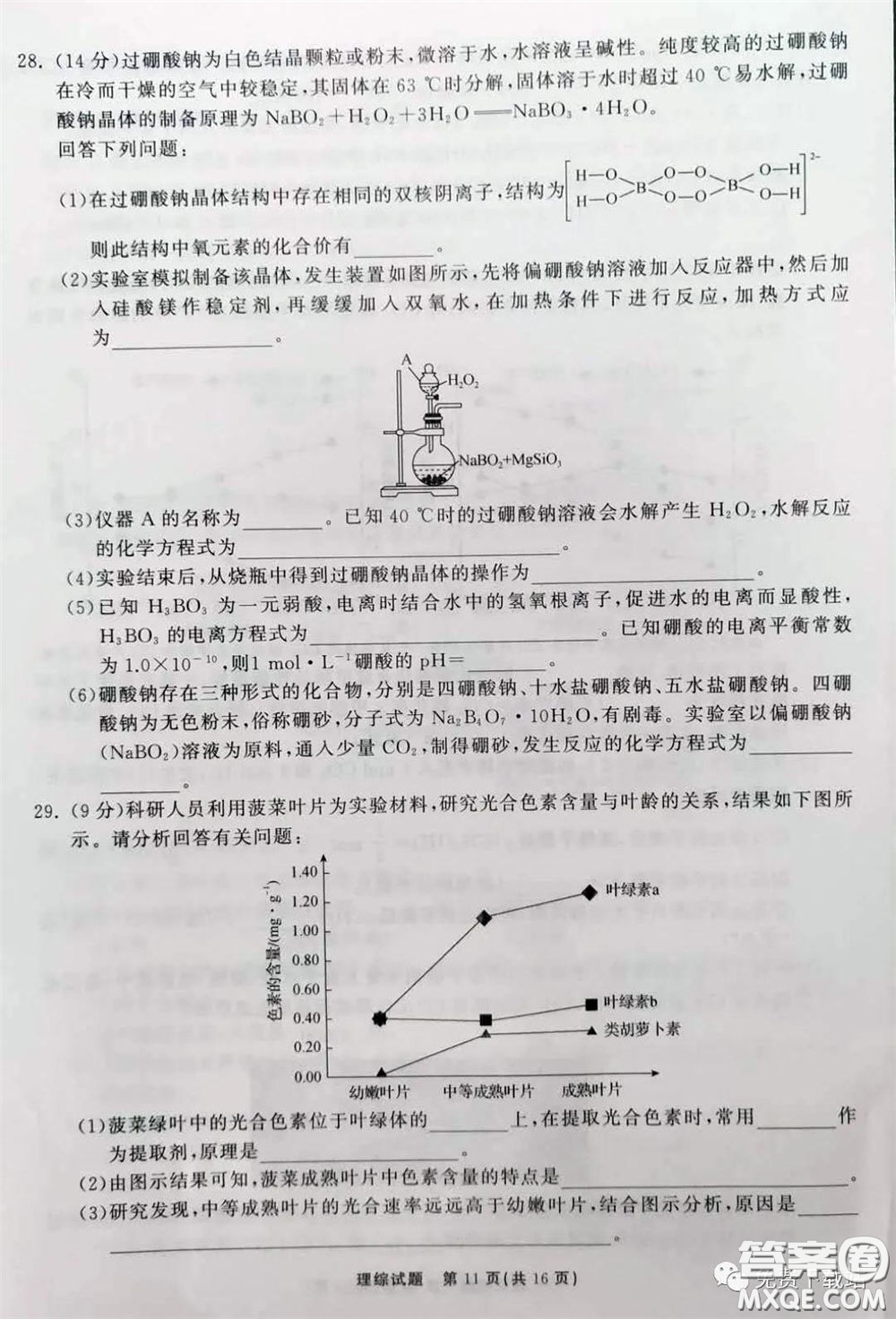 河北衡水中學(xué)2020屆全國高三第二次聯(lián)合考試?yán)砭C答案