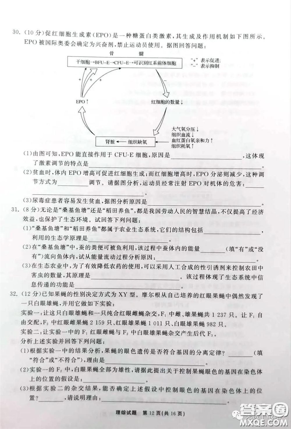 河北衡水中學(xué)2020屆全國高三第二次聯(lián)合考試?yán)砭C答案