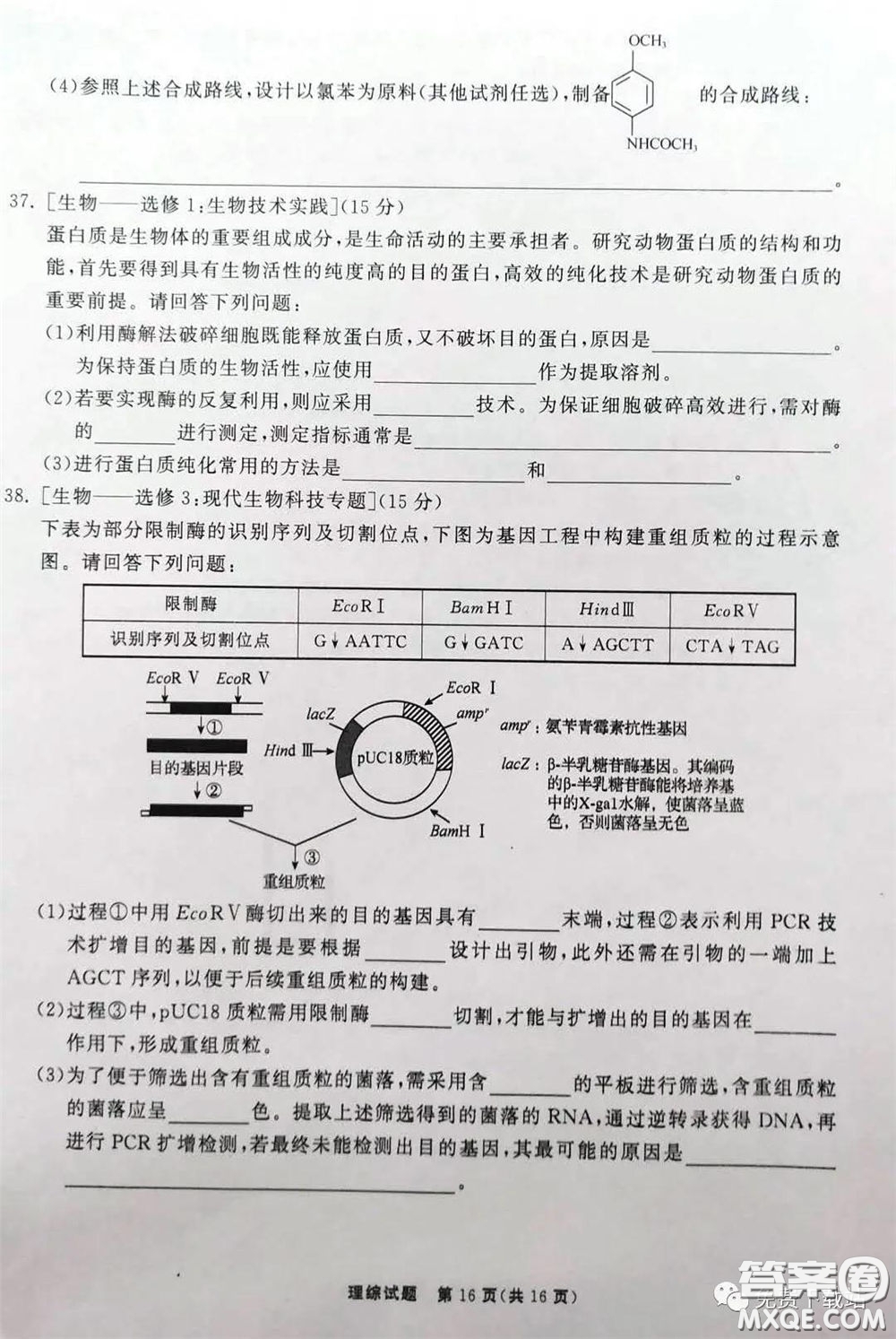 河北衡水中學(xué)2020屆全國高三第二次聯(lián)合考試?yán)砭C答案