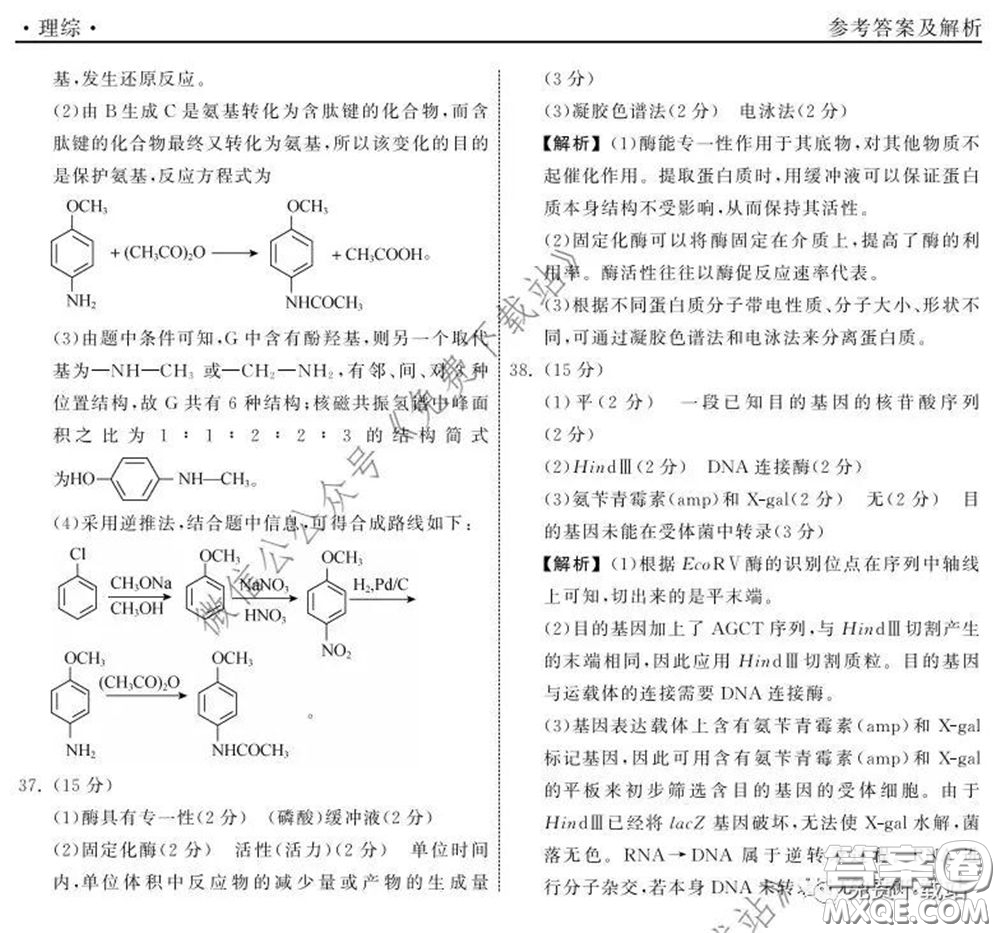 河北衡水中學(xué)2020屆全國高三第二次聯(lián)合考試?yán)砭C答案