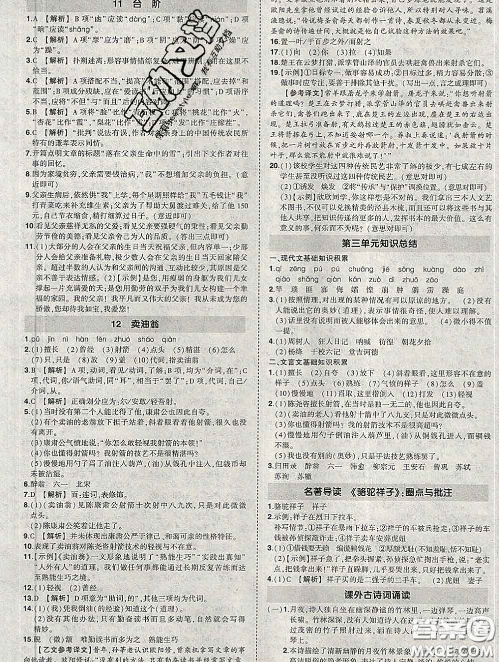 狀元成才路2020春創(chuàng)優(yōu)作業(yè)七年級語文下冊人教版答案