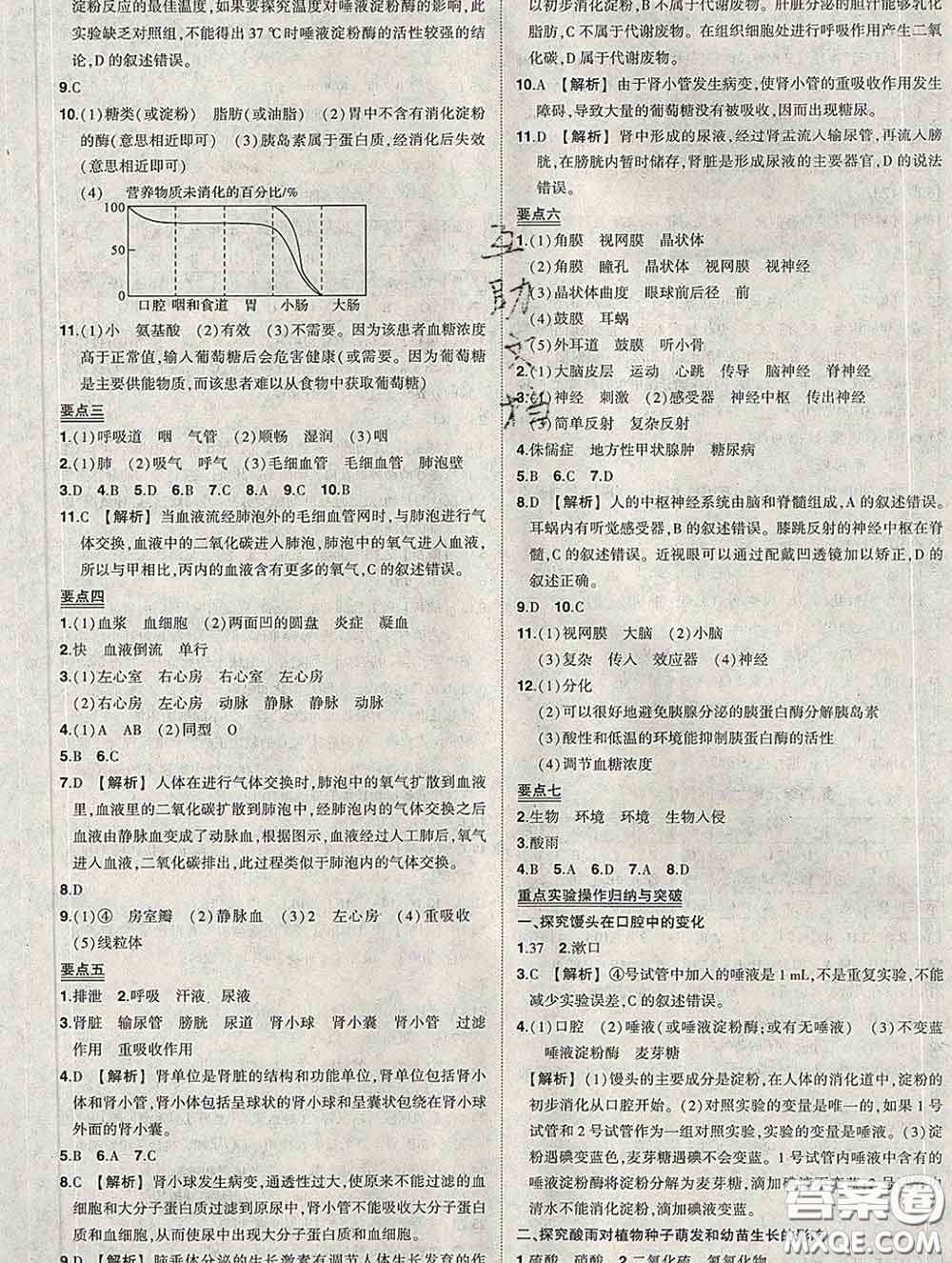 狀元成才路2020春創(chuàng)優(yōu)作業(yè)七年級(jí)生物下冊(cè)人教版答案