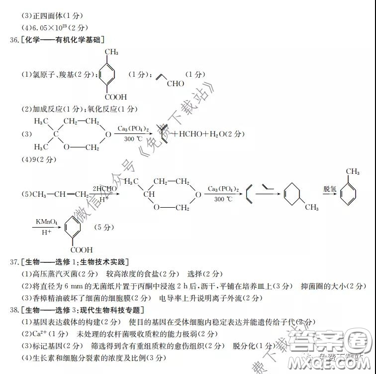 2020屆湖南金太陽高三模擬考試?yán)砜凭C合試題及答案