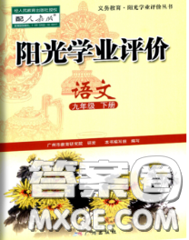 2020新版陽光學(xué)業(yè)評價九年級語文下冊人教版參考答案