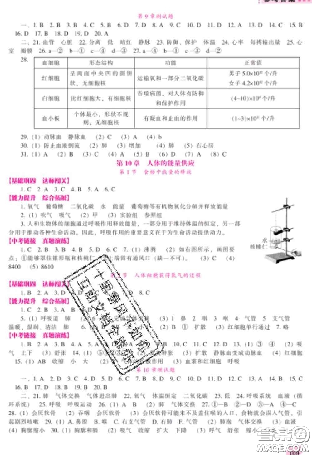 遼海出版社2020新版新課程生物能力培養(yǎng)七年級(jí)下冊(cè)北師版答案