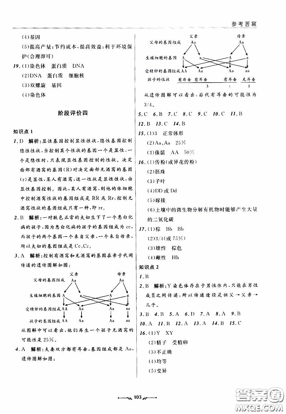 2020年新課程評價手冊生物八年級下冊人教版參考答案