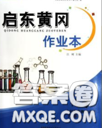 2020新版啟東黃岡作業(yè)本九年級化學(xué)下冊人教版答案