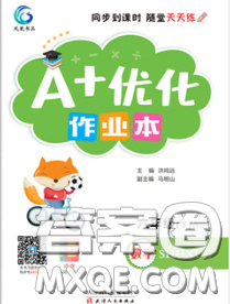 2020新版A+優(yōu)化作業(yè)本六年級數(shù)學(xué)下冊人教版參考答案