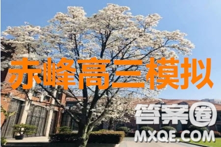 2020年內(nèi)蒙古赤峰市高三4月模擬考試文科綜合答案