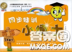 河海大學(xué)出版社2020同步特訓(xùn)小博士五年級英語人教版下冊答案