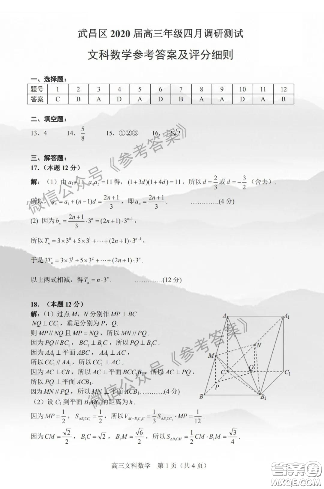 武昌區(qū)2020屆高三年級(jí)四月調(diào)考文科數(shù)學(xué)答案