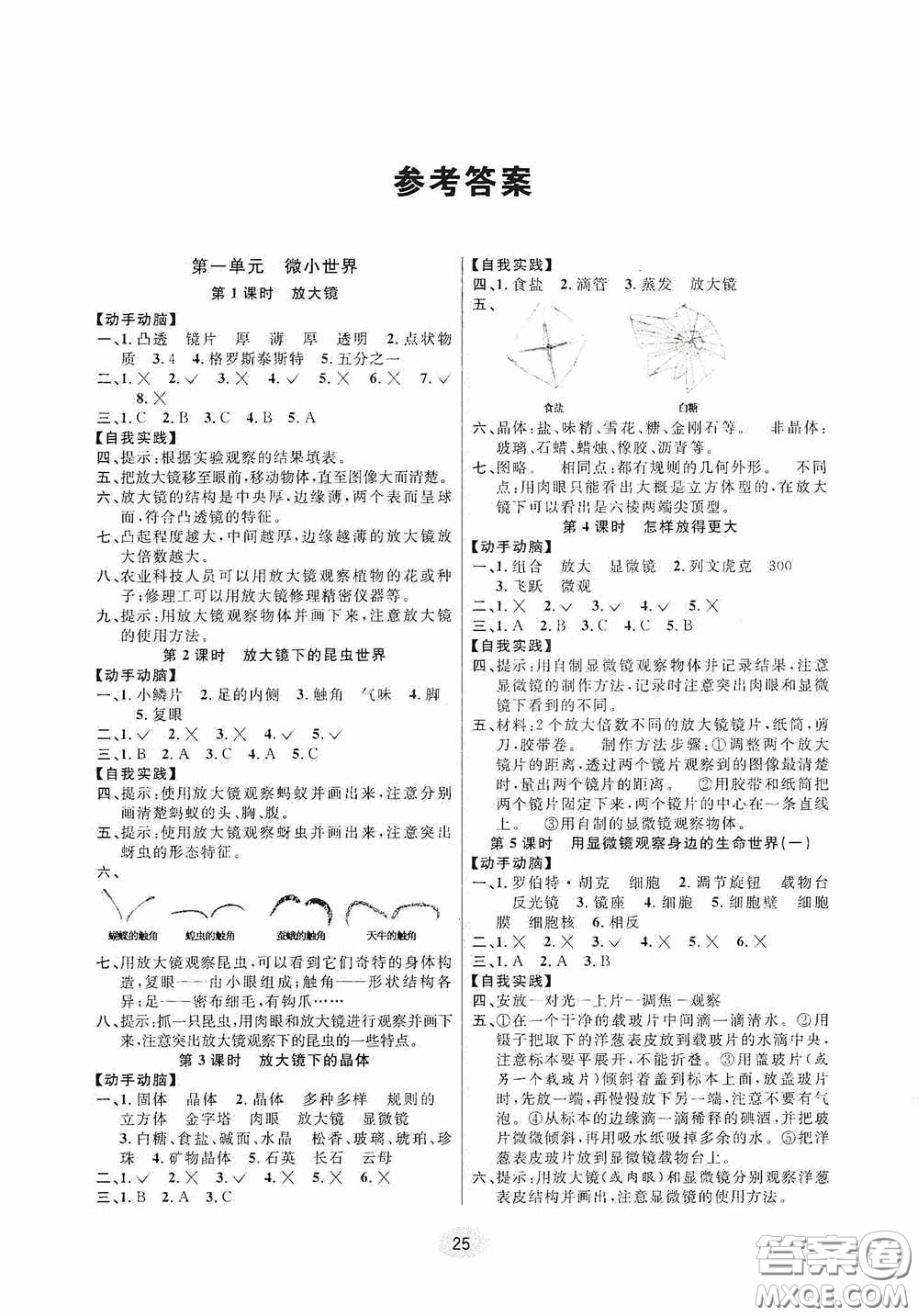 河海大學出版社2020同步特訓小博士六年級科學教科版下冊答案