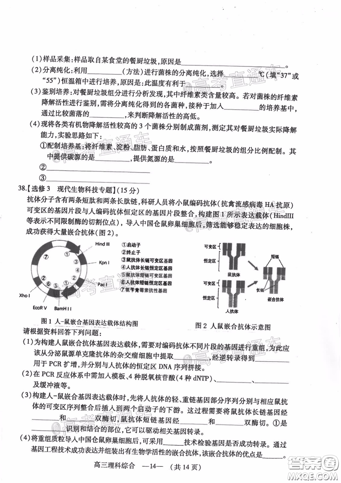 2020年4月福州市高中畢業(yè)班質(zhì)量檢測理科綜合試題及答案