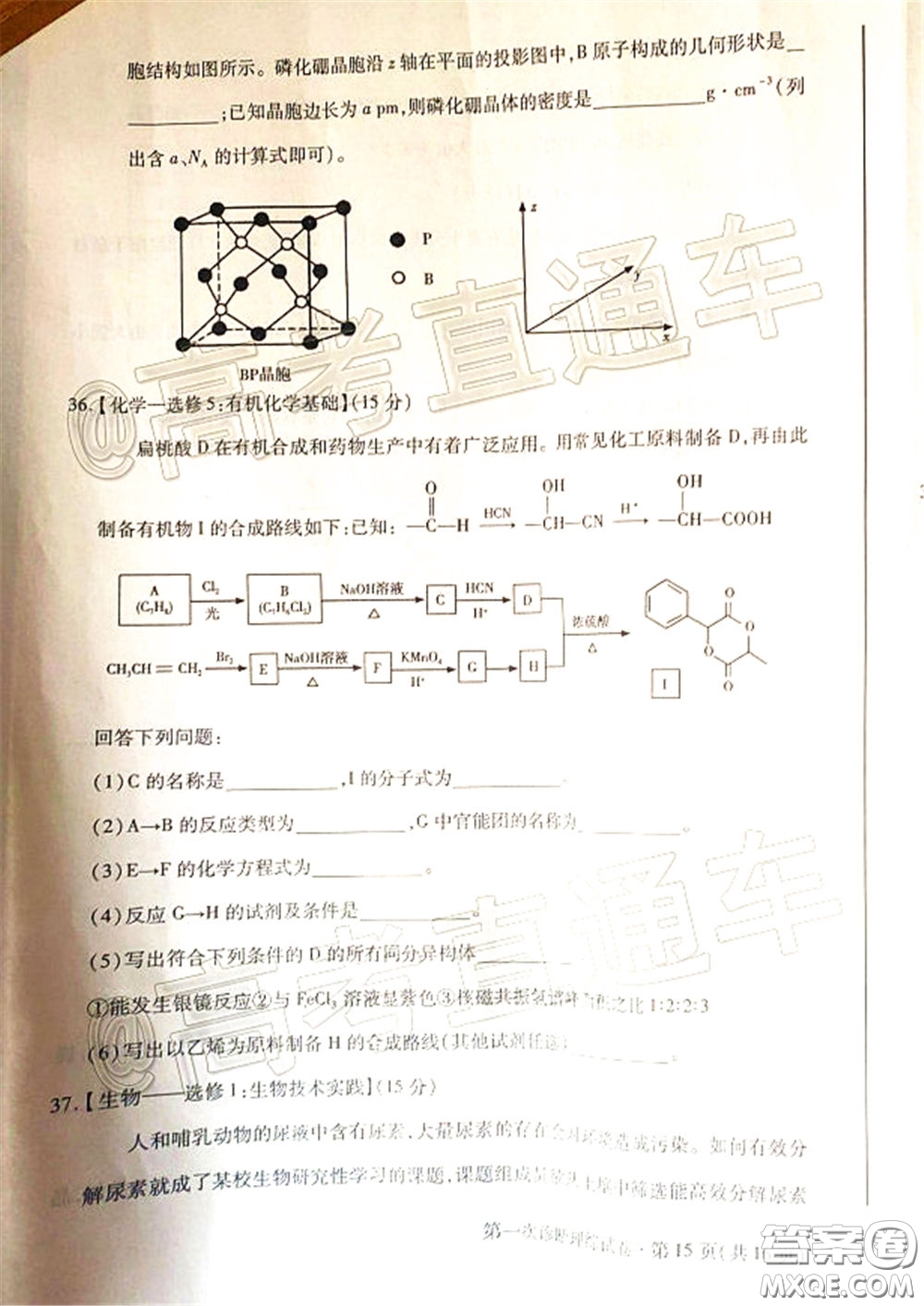 2020年甘肅省第一次高考診斷考試理科綜合試題及答案