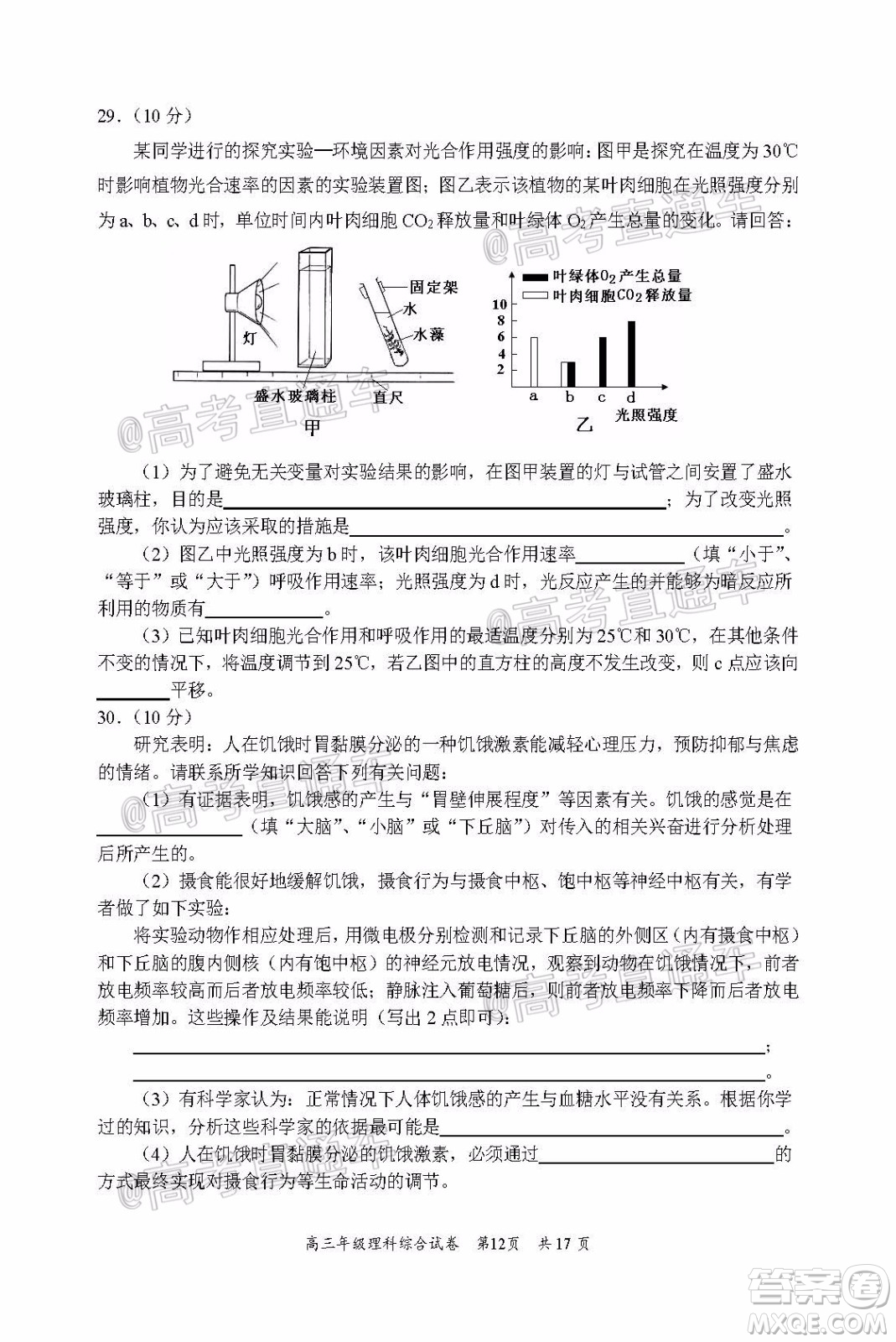 武昌區(qū)2020屆高三年級四月調考理綜試題及答案