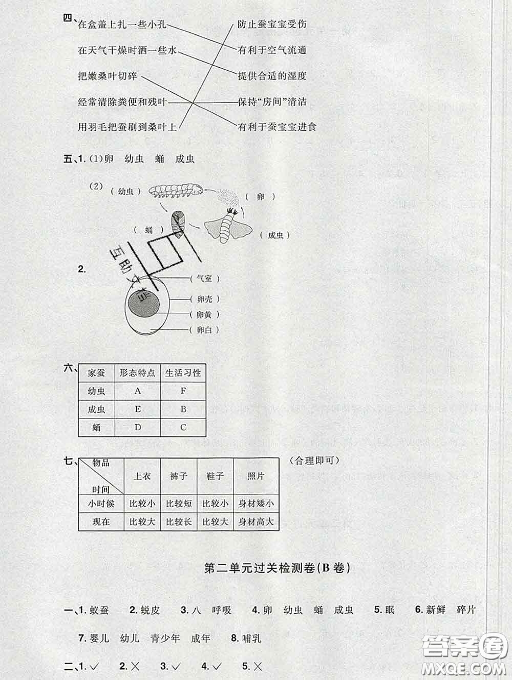 2020新版陽(yáng)光同學(xué)一線名師全優(yōu)好卷三年級(jí)科學(xué)下冊(cè)教科版答案