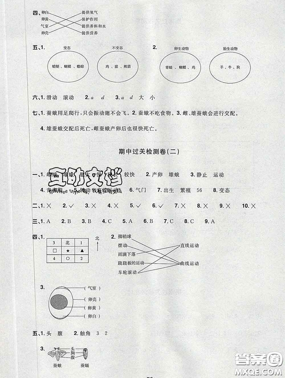 2020新版陽(yáng)光同學(xué)一線名師全優(yōu)好卷三年級(jí)科學(xué)下冊(cè)教科版答案