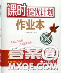 2020新版課時提優(yōu)計(jì)劃作業(yè)本九年級數(shù)學(xué)下冊蘇科版答案