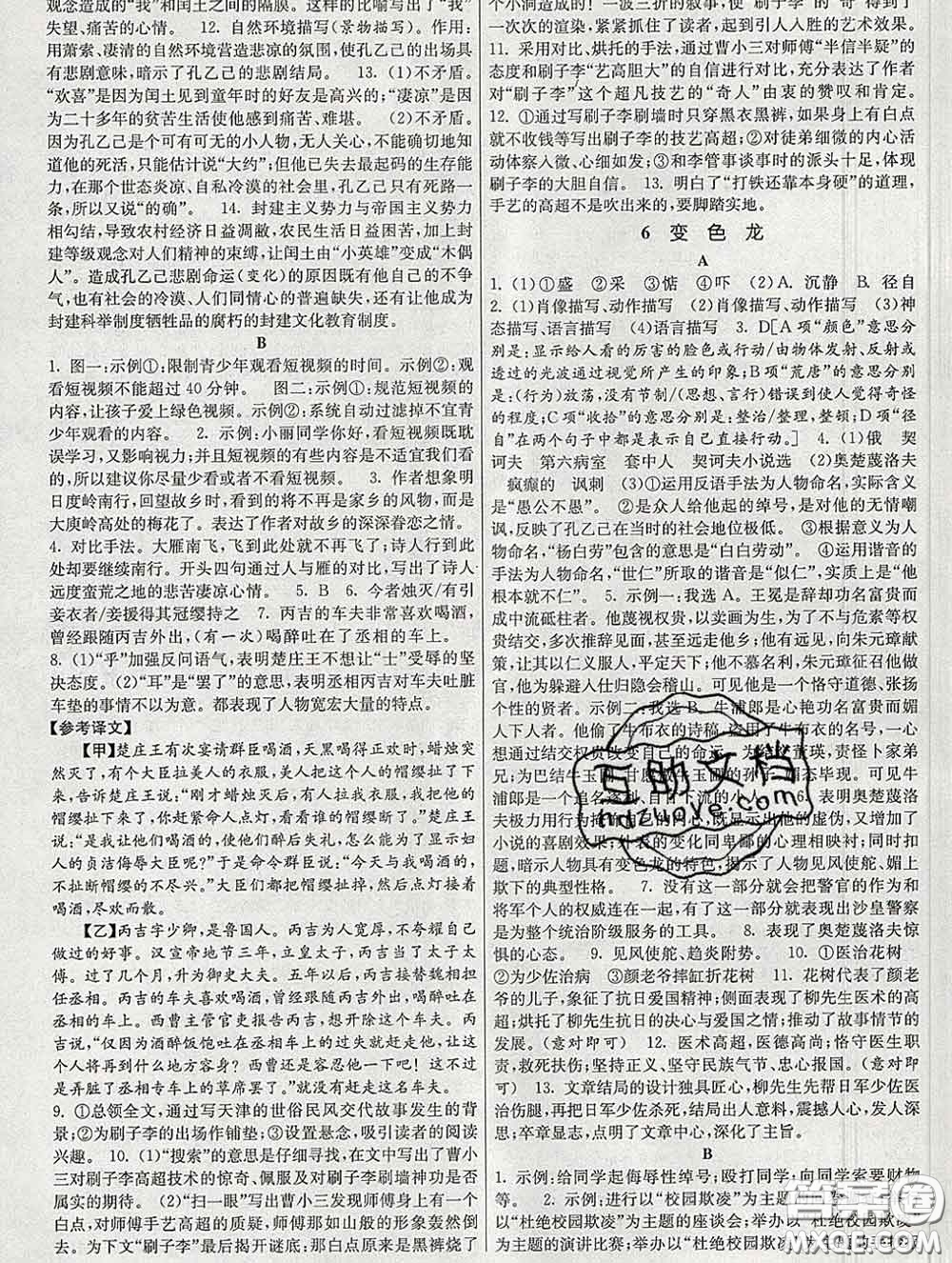 2020新版課時提優(yōu)計劃作業(yè)本九年級語文下冊人教版答案