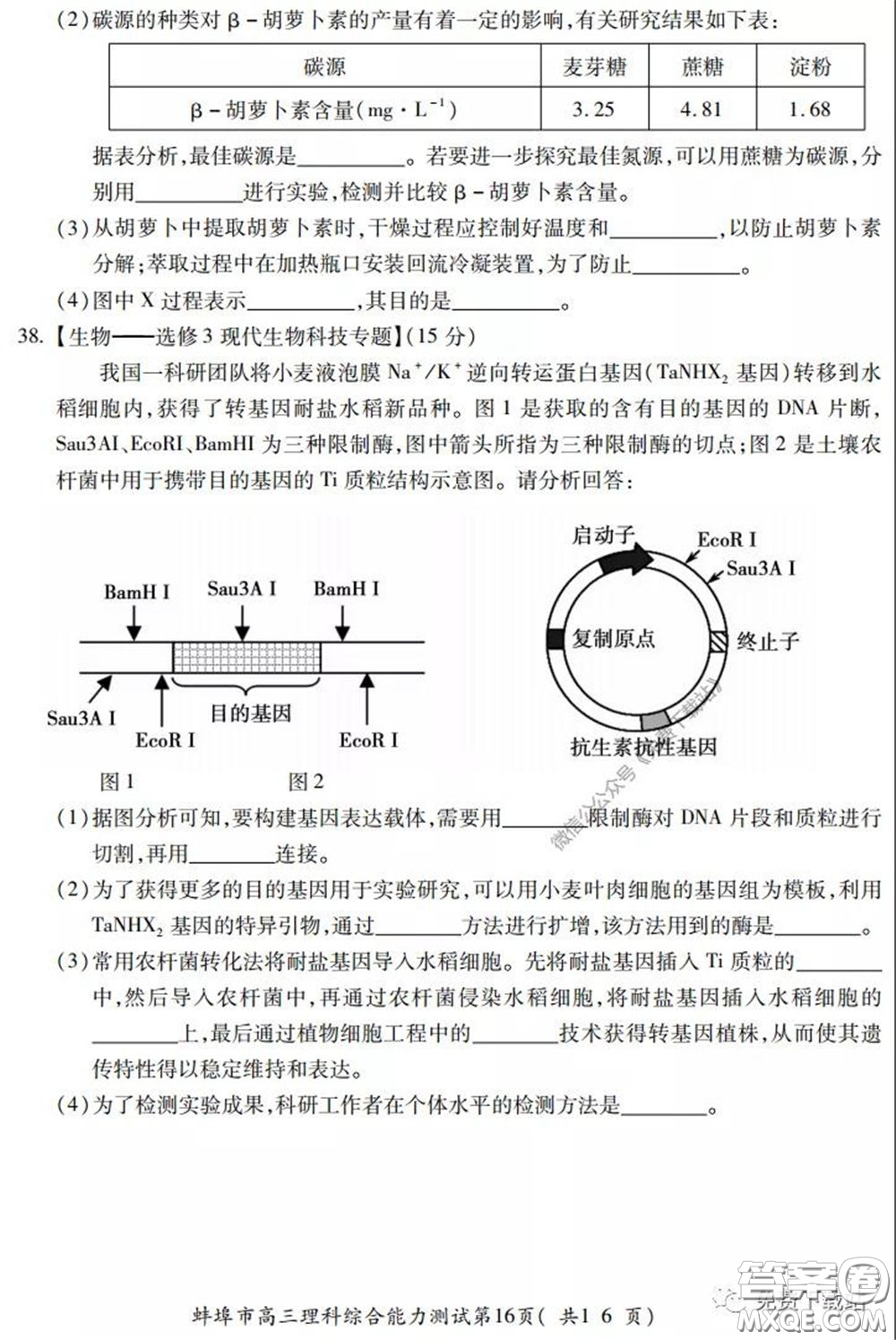 蚌埠市2020屆高三年級第三次教學質量檢查考試理科綜合試題及答案