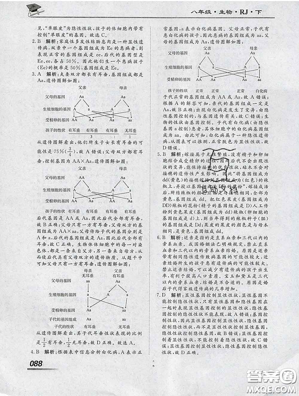 2020一川教育學(xué)考A+課堂檢測10分鐘八年級生物下冊人教版答案